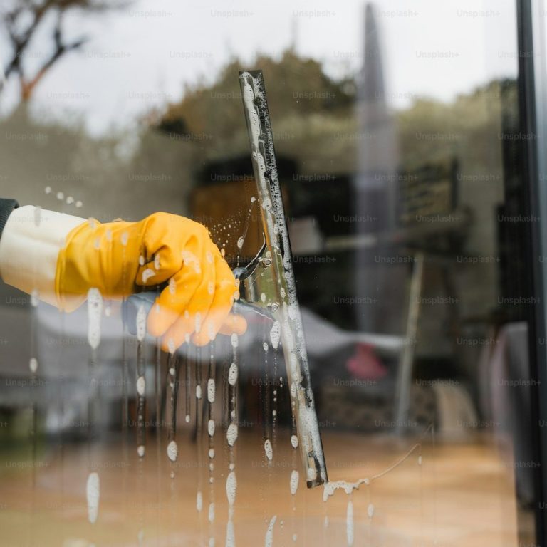 Professionelle Reinigung eines Fensters Professionelle Reinigung eines Fensters